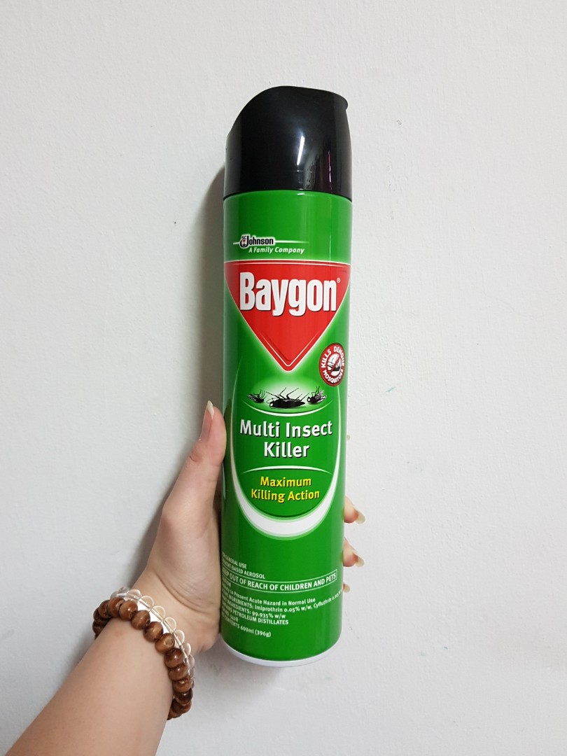Baygon Insect Spray, Furniture & Home Living, Cleaning & Homecare