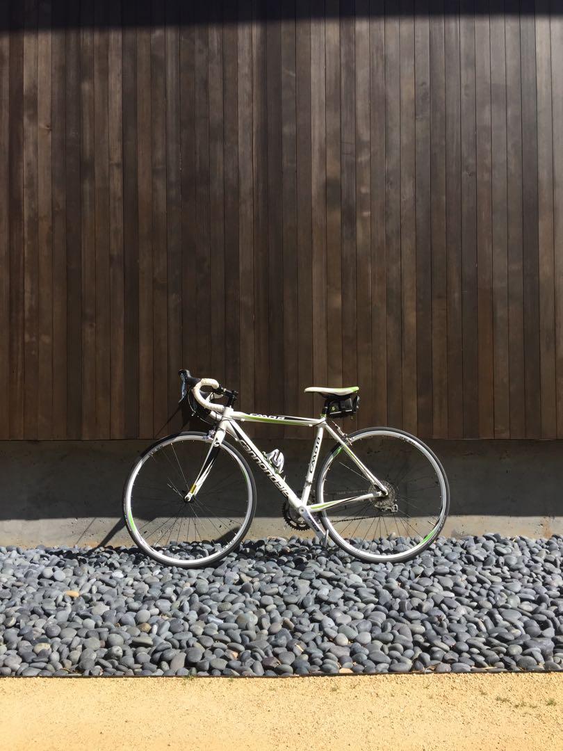 Cannondale en14781 price on sale