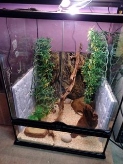 (Category: ) located in . Submitted by lilylex (Listing ID 1021682249, Image 1). Description: .