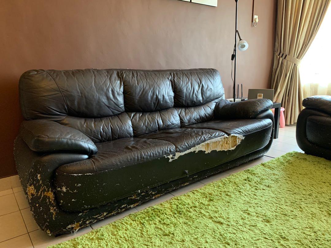 Leather Sofa Home Furniture Furniture On Carousell