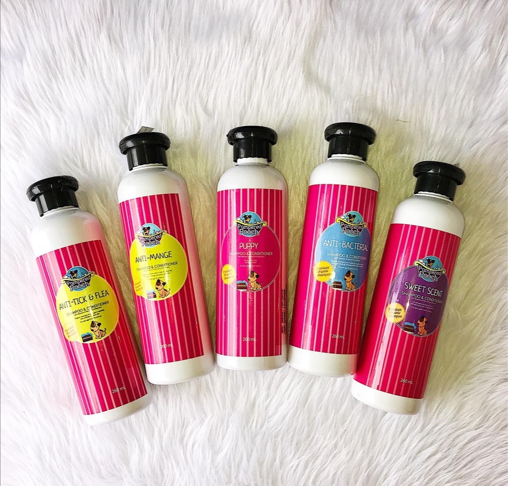 pampered pooch shampoo
