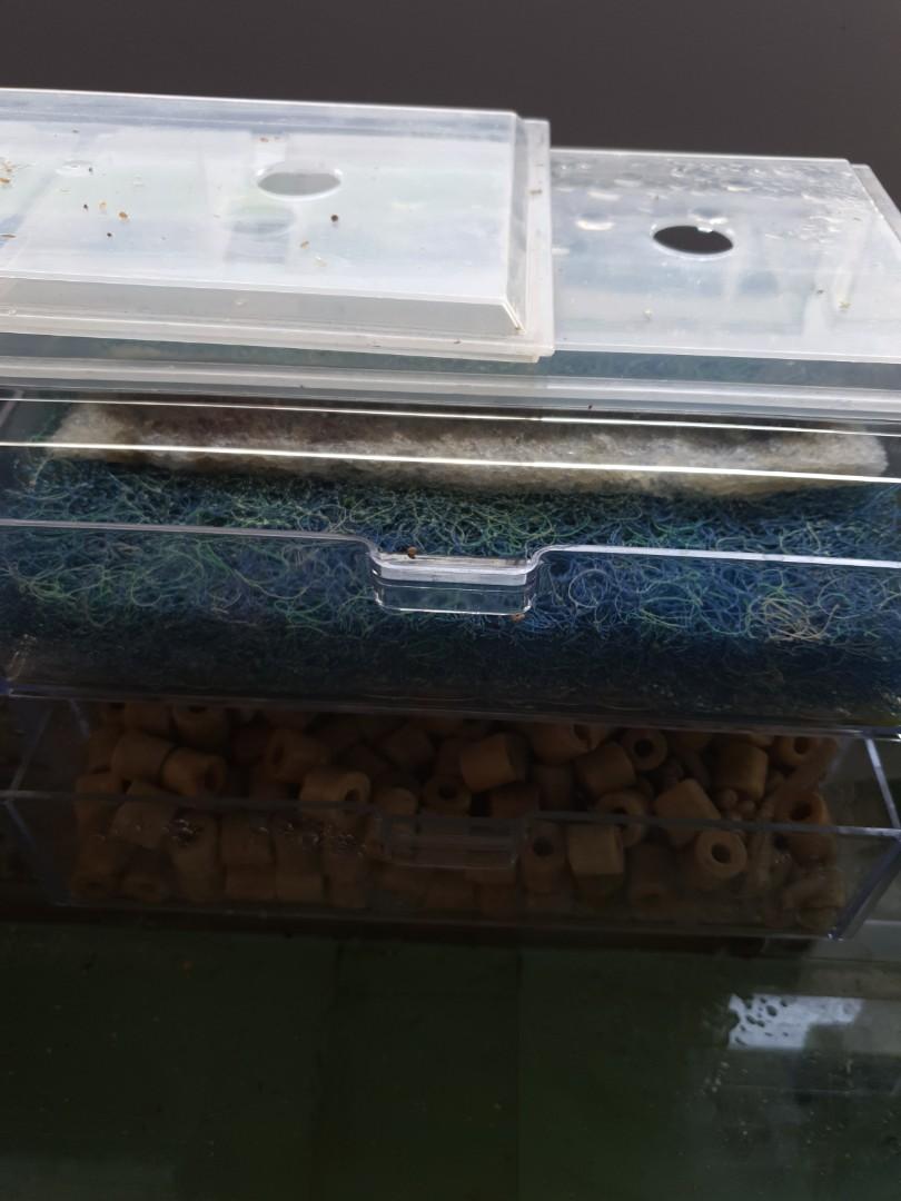 3 ft OHF - Drawer Style (reserved), Pet Supplies, For Fish ...
