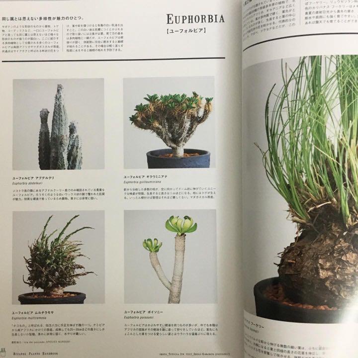 Brutus Mook Bizarre Plants Handbook 珍奇植物塊根植物home Decor Vintage Antique Lifestyle 書本 文具 雜誌及其他 Carousell