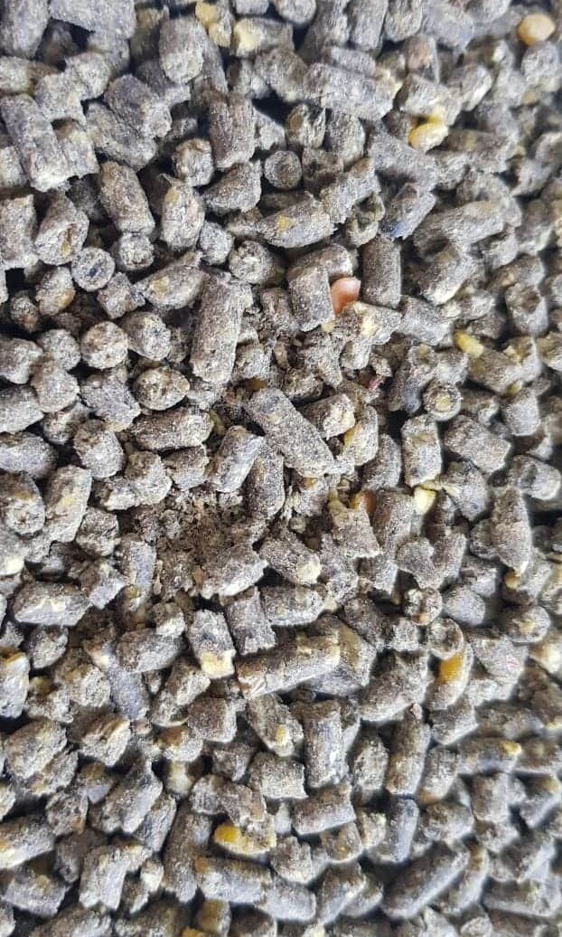 Chicken Feed and Corn, Pet Supplies, Pet Food on Carousell