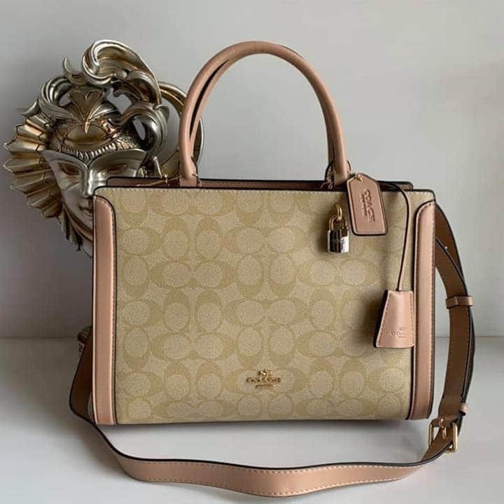 coach small zoe carryall