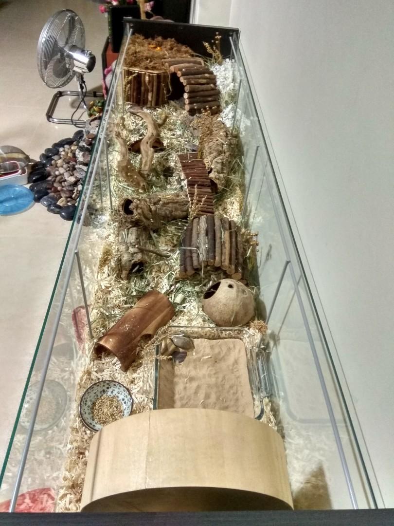 Hamster cage ikea detolf discount