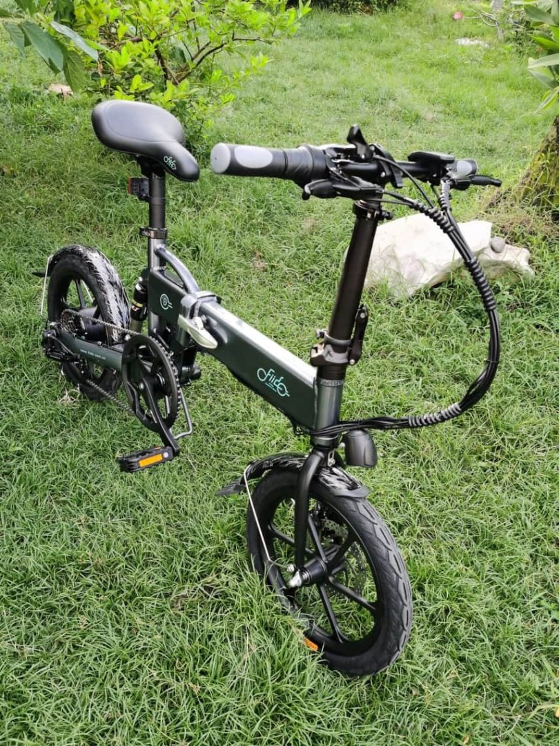 fiido d2 bike