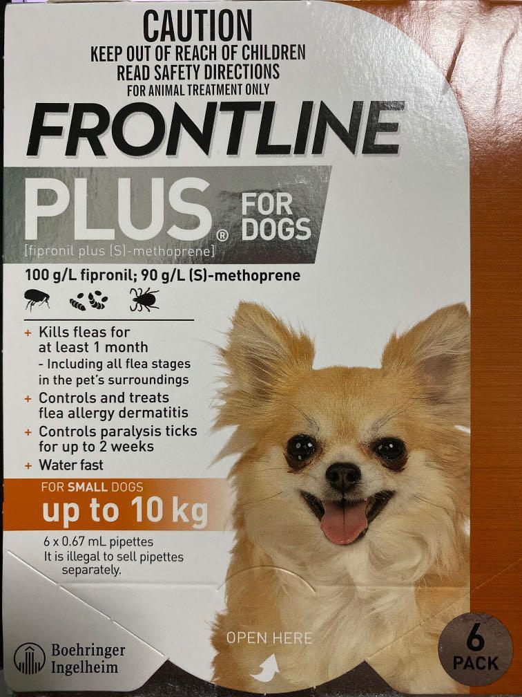 frontline for chihuahuas