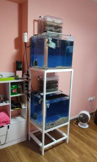 (Category: ) located in . Submitted by poultrybeefmutton (Listing ID 1021972629, Image 1). Description: .