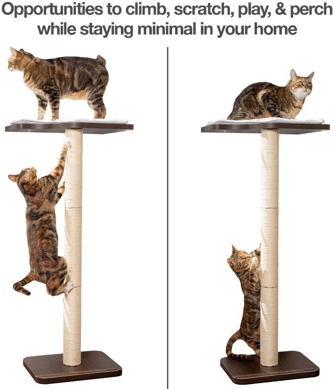 Petfusion cat tree online