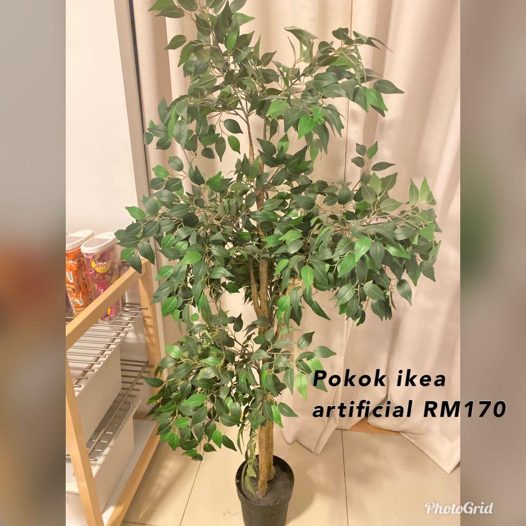 Ikea artificial plant, Furniture & Home Living, Home Decor, Artificial