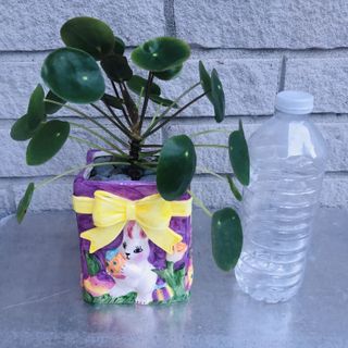 (Category: ) located in . Submitted by sandyyoung (Listing ID 282119725, Image 1). Description: .