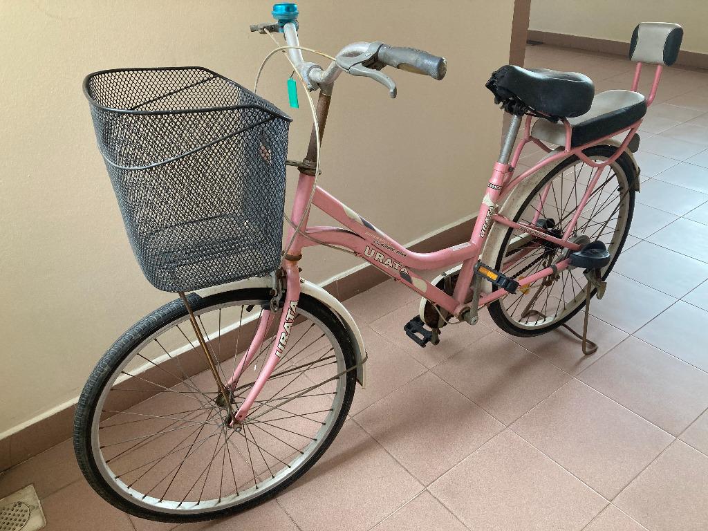 ladies bike with child seat