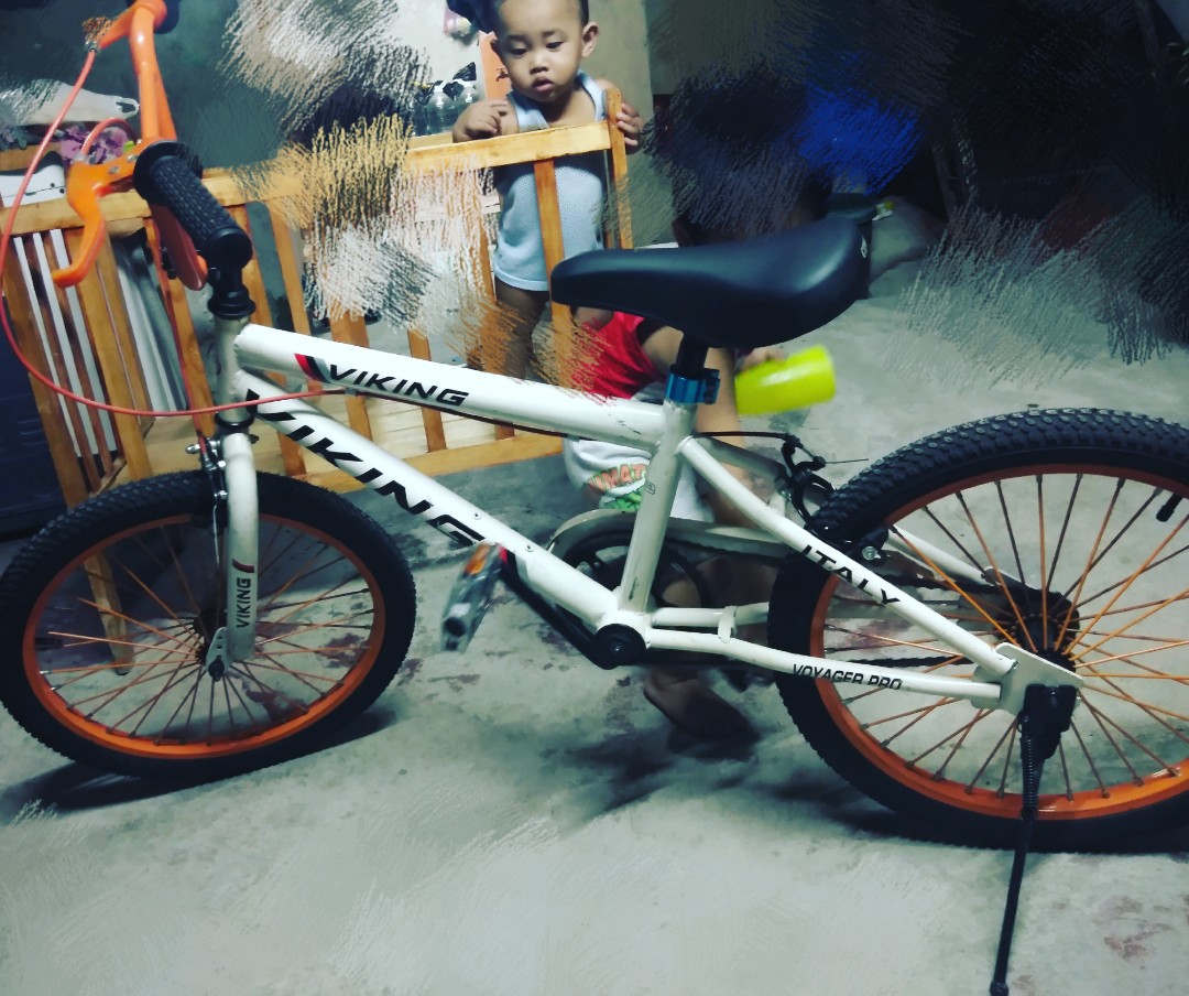 viking bike with basket