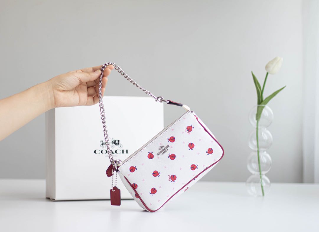 Coach Ladybug Handbag 2024 favors