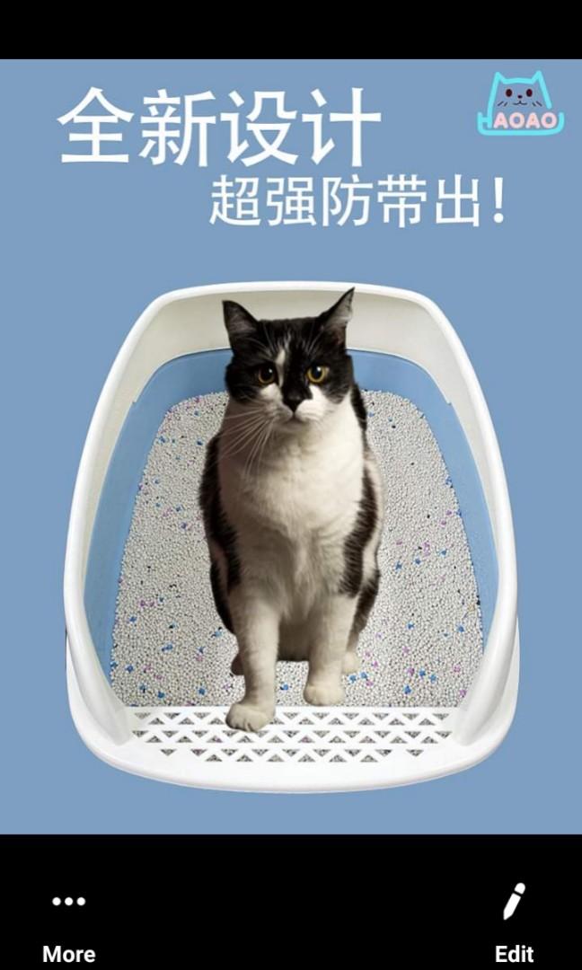 Cat Litter Box With Scooper Pets Supplies Pet Accessories On Carousell