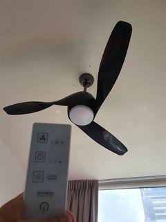 Acorn Ceiling Fan with remote