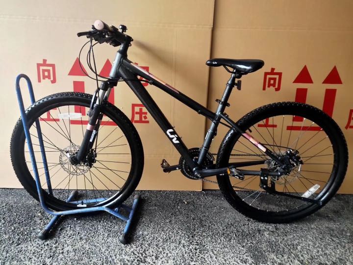 giant liv mtb