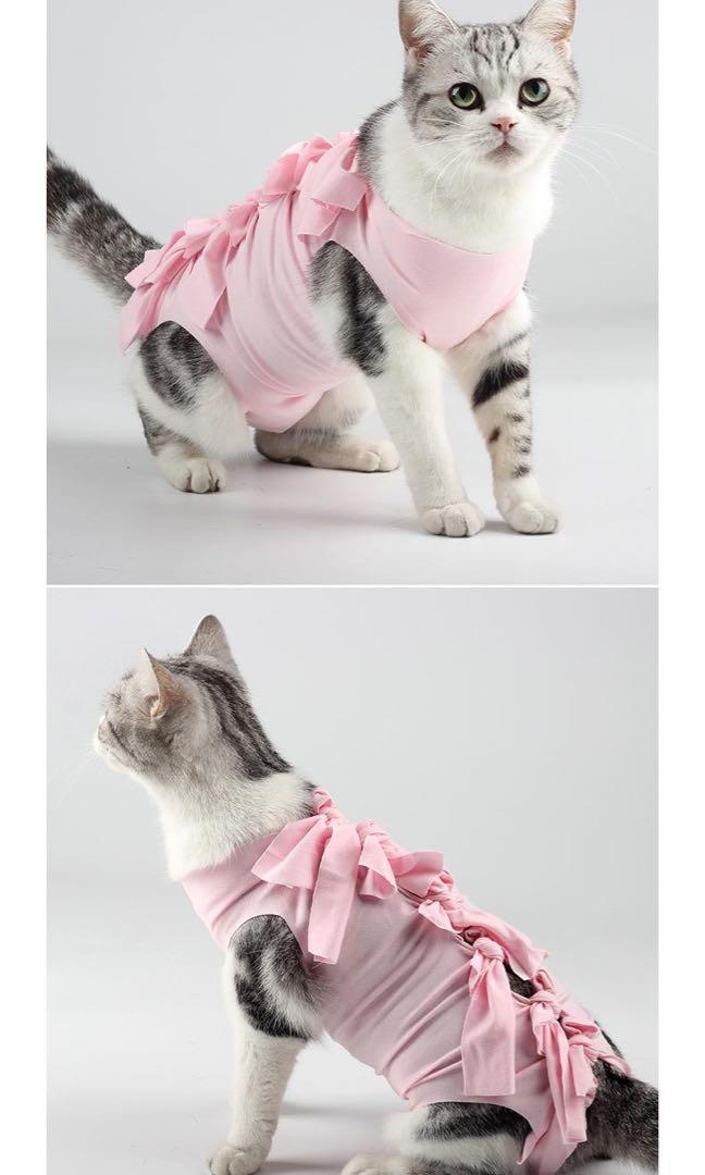 Instock AntiLick Cat Recovery Suit Cat Recovery Clothes After Surgical