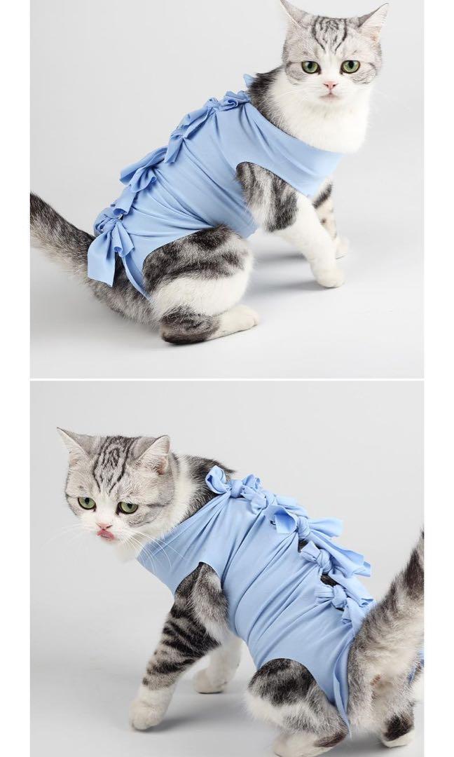 Instock AntiLick Cat Recovery Suit Cat Recovery Clothes After Surgical