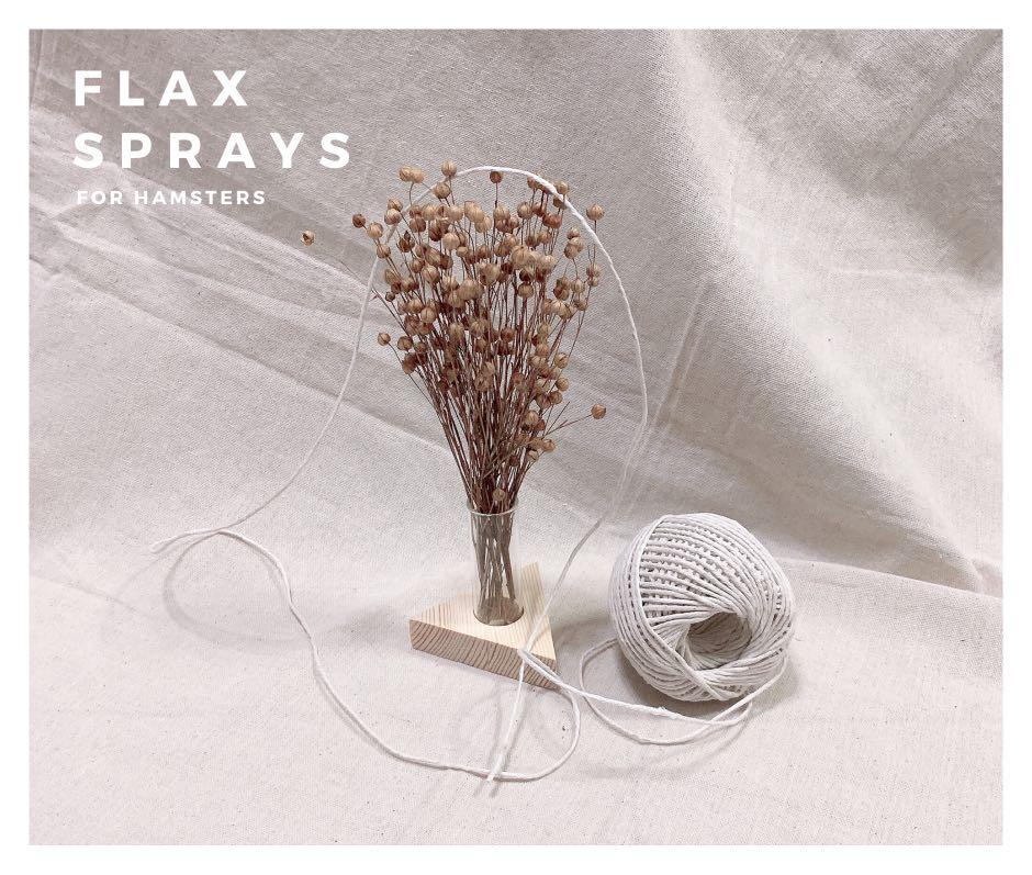 [CLOSED FOR GOOD] FLAX SPRAYS / FLAXSEEDS FOR HAMSTERS AND SMALL