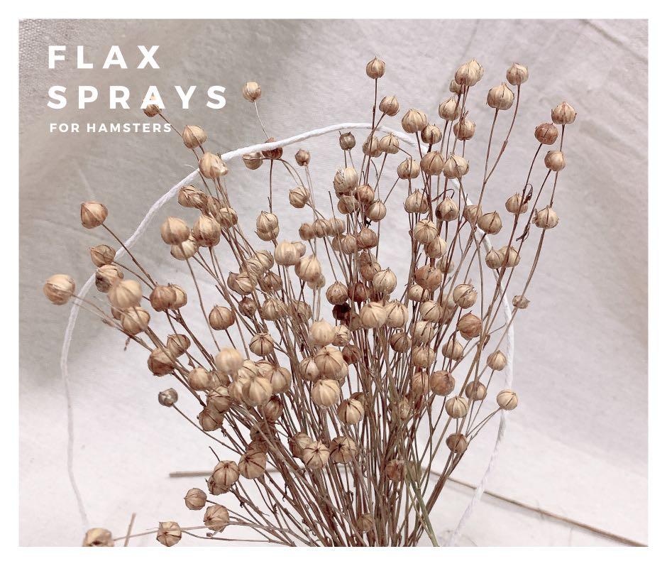 [CLOSED FOR GOOD] FLAX SPRAYS / FLAXSEEDS FOR HAMSTERS AND SMALL