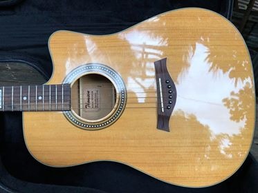 Thomson Acoustic TAC-2CE-N pick-up with