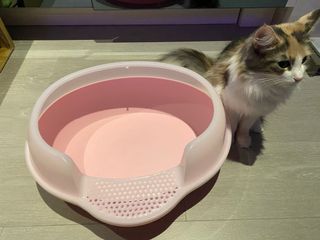 （分類：）位於 。 由 kkfifi 提交（商品編號 1022330581，圖片 1）。簡介： 。