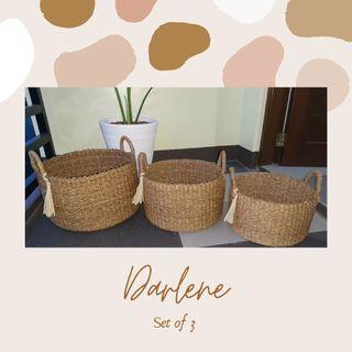 Baskets for plants/storage