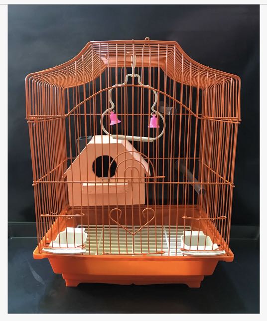 Bird cage with nest box top