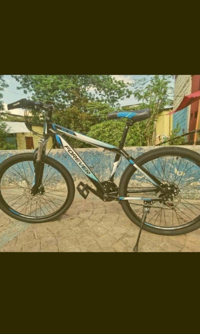 cheap 29 inch bike
