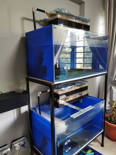 (Category: ) located in . Submitted by rueang (Listing ID 1022178240, Image 1). Description: .