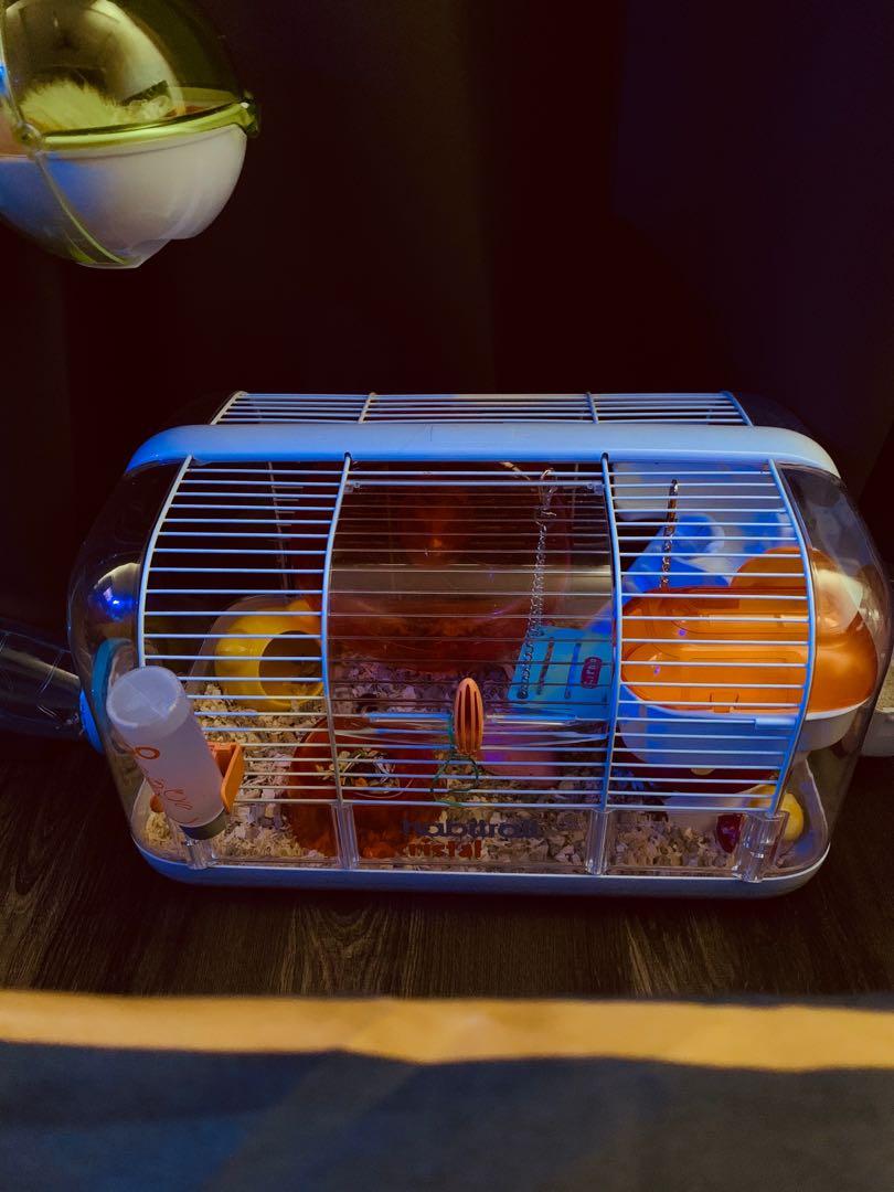 habitrail cristal tubes