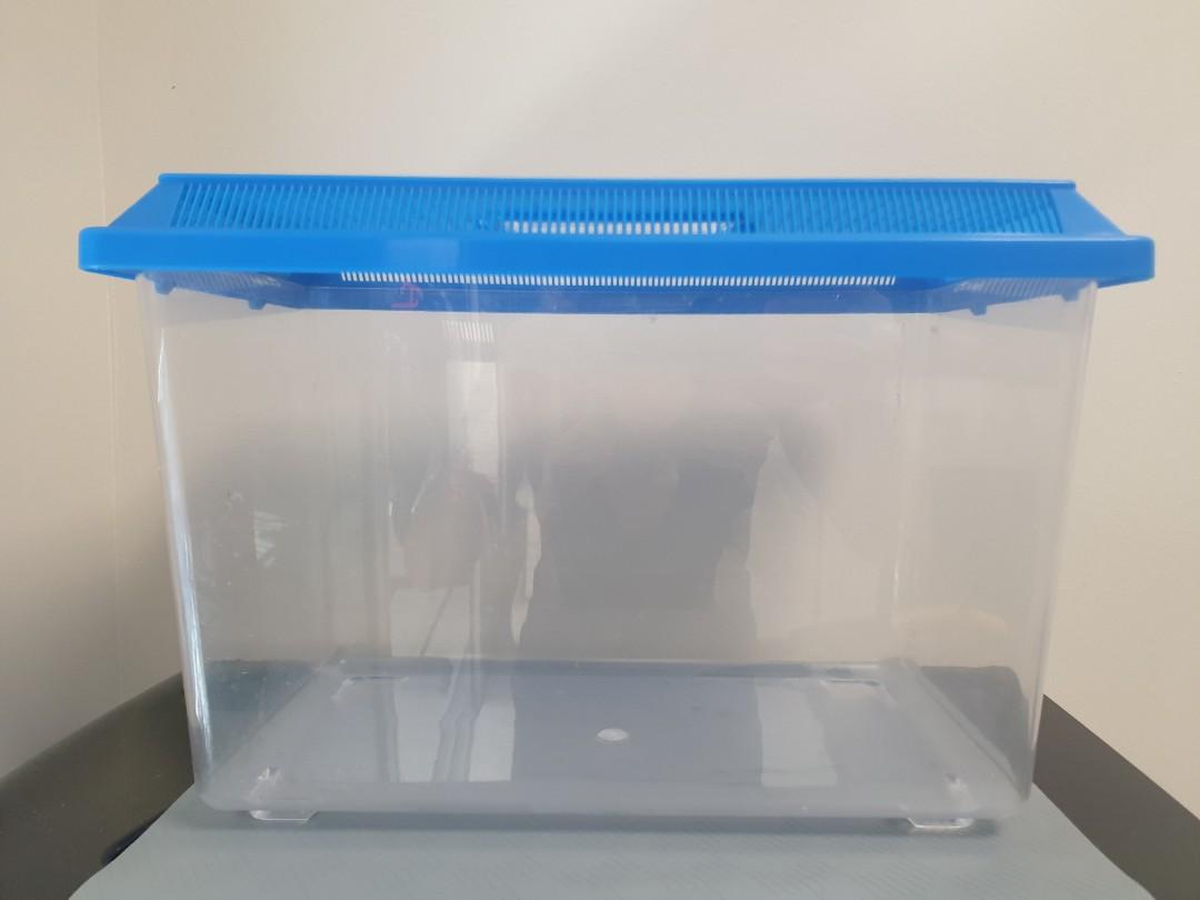 large plastic fish tank