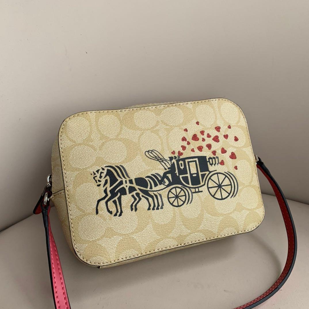 MINI CAMERA BAG IN SIGNATURE CANVAS WITH HORSE AND CARRIAGE HEARTS MOTIF (COACH 91041), Women&#39;s ...