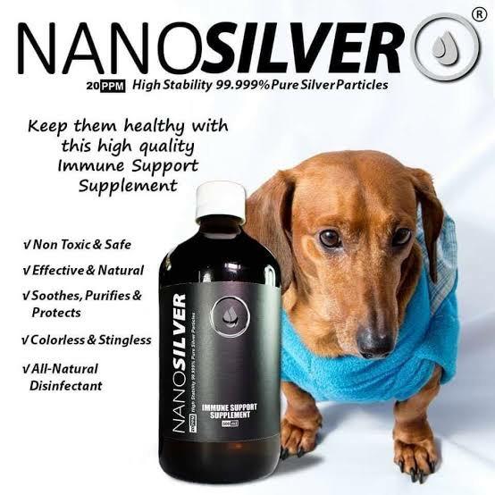 the largest dog breed