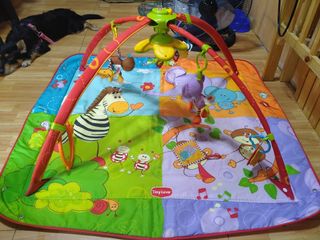 (Category: ) located in . Submitted by clarkchie (Listing ID 1022378733, Image 1). Description: .