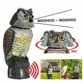 Realistic Owl - Bird Scarer