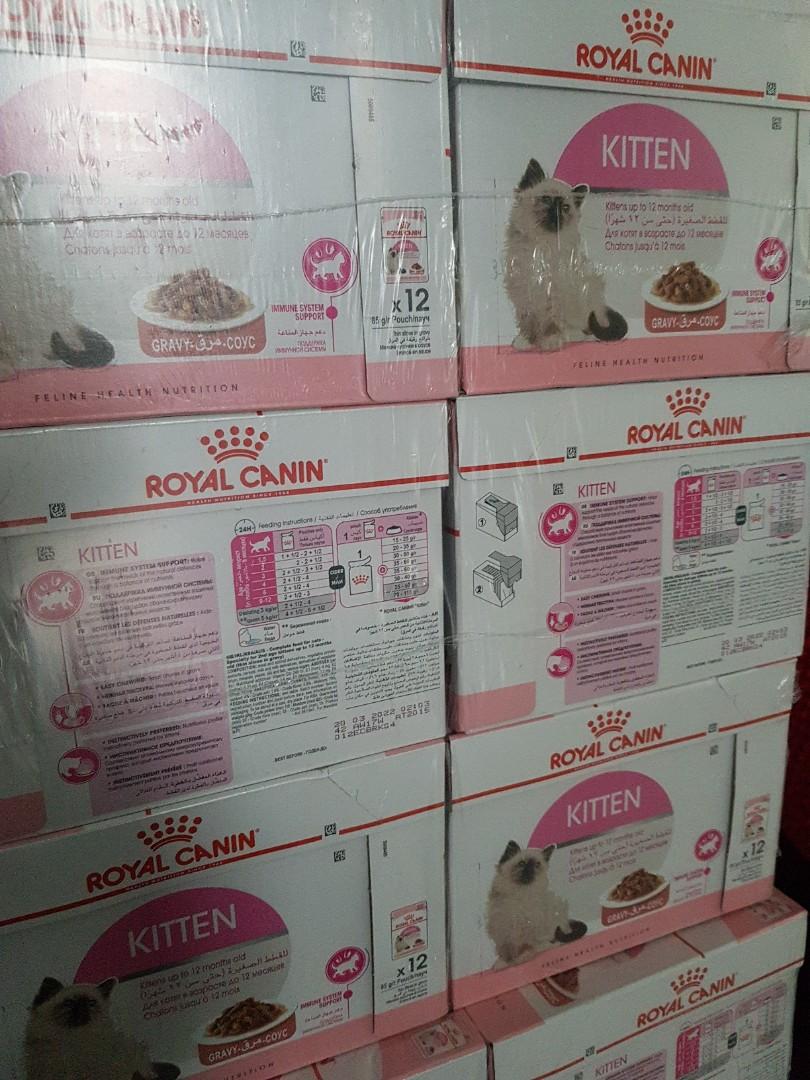Ready Stocks Royal Canin Kitten Wet Food Gravy 12 Packs X 85grams Pet Supplies For Cats Cat Food On Carousell