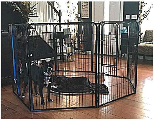 xl dog pen
