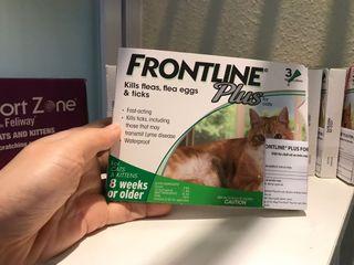 Frontline Plus anti flea for cat