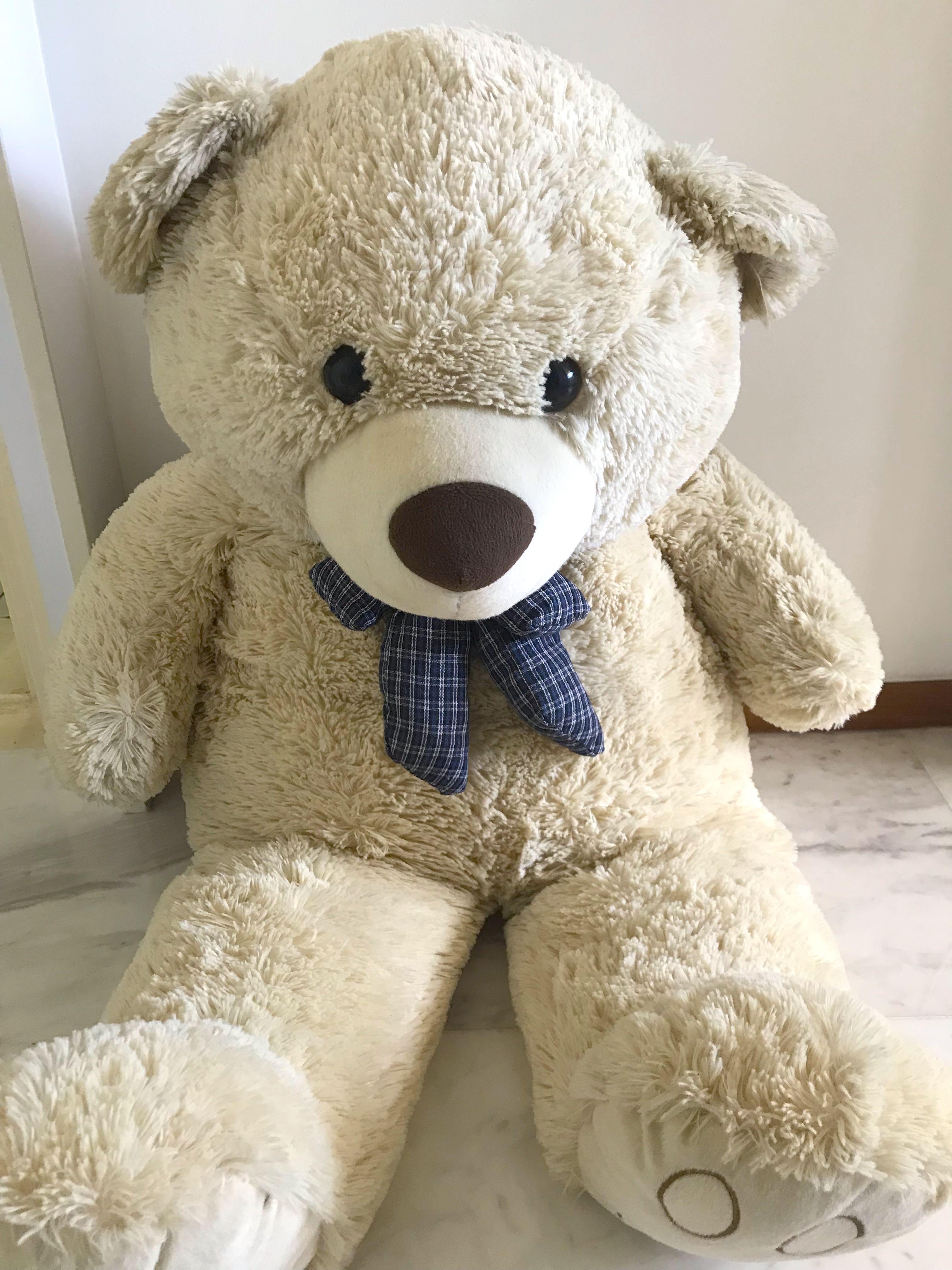 100cm teddy on sale bear price