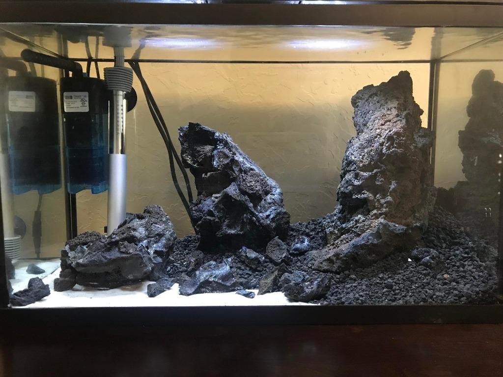 Hardscape Aquarium, Pet Supplies, For Fish, Fish Tanks on ...