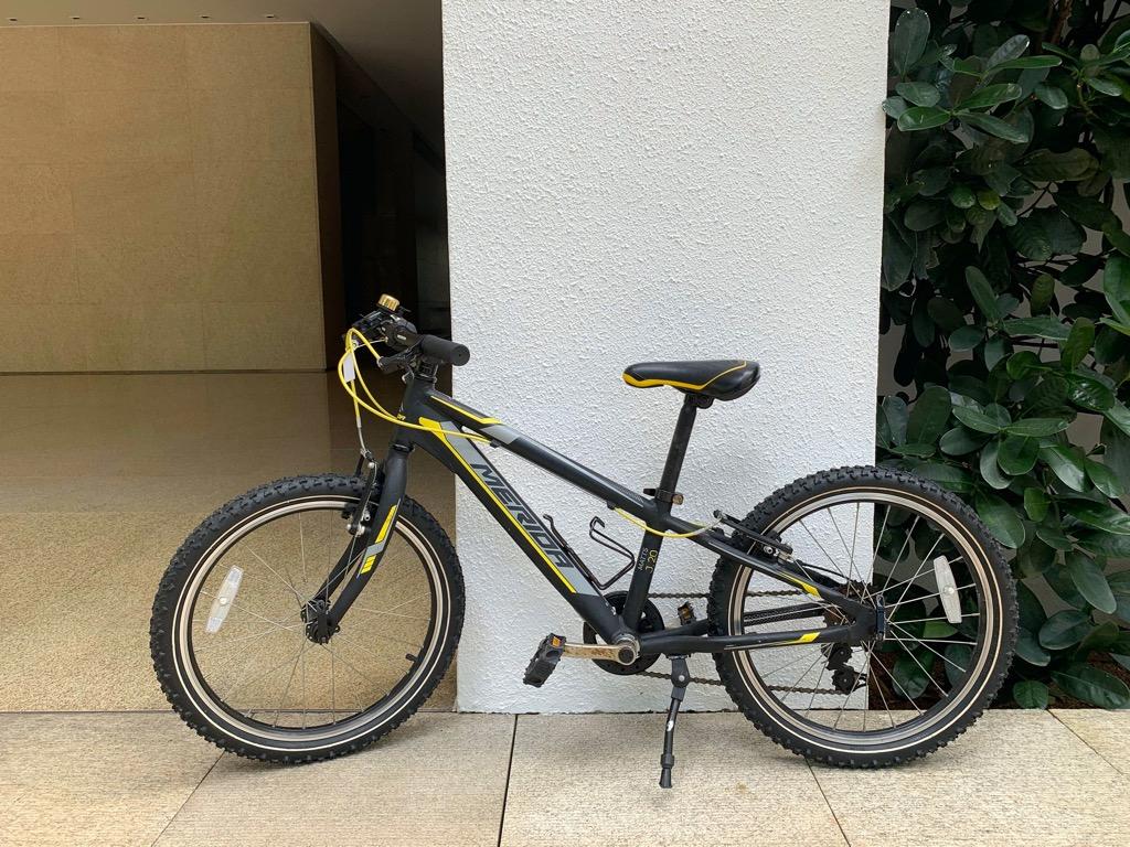 merida 20 inch bike