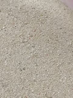 (Category: ) located in . Submitted by zm4477 (Listing ID 1022431162, Image 1). Description: .