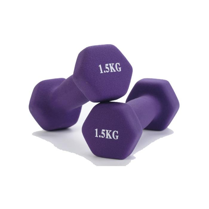 mini dumbbell set