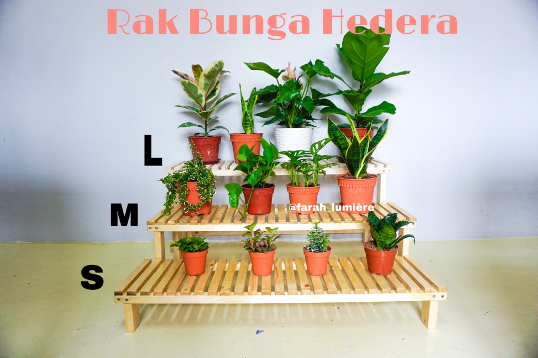 Rak Bunga Hedera Home Furniture Gardening On Carousell