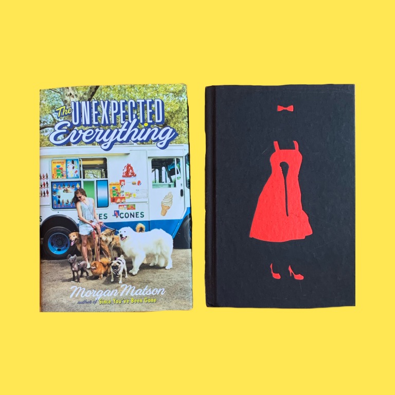 The Unexpected Everything Dorothy Must Die Books Books On Carousell