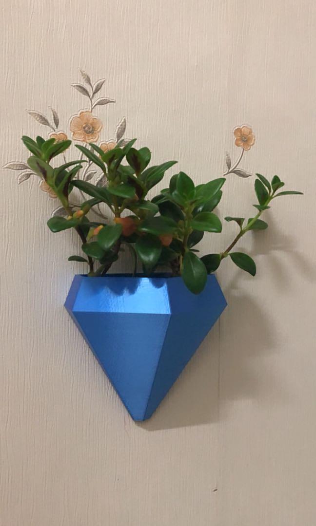 Wall Vase For Succulent Plant Home Furniture Home Decor On