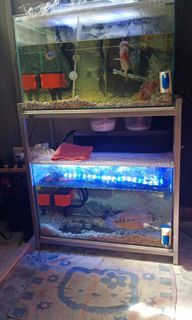 (Category: ) located in . Submitted by melia95 (Listing ID 1022727795, Image 1). Description: .